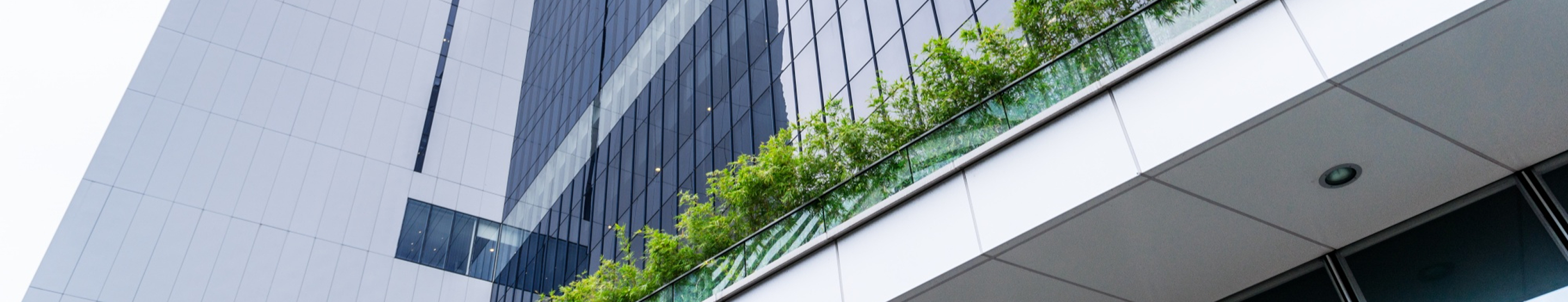 회사소개 이미지